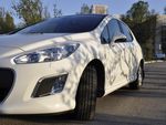 ������ ���� 308